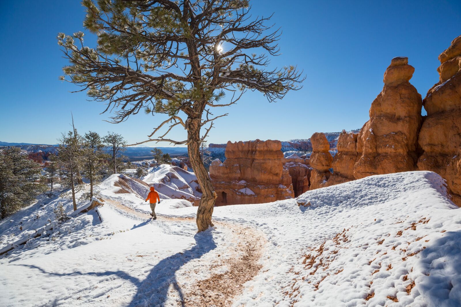 hiker on snowy bryce canyon trail