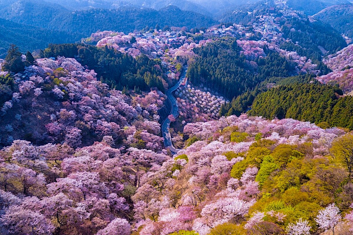 AIROS Skyview Run Luxury Cherry Blossom Helicopter Rides in Japan