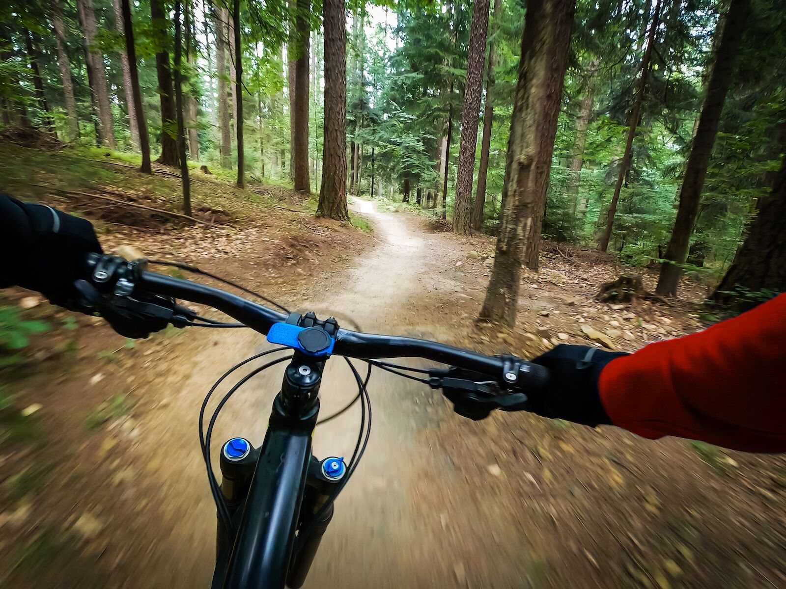 e-bikes on trails - biker in forest