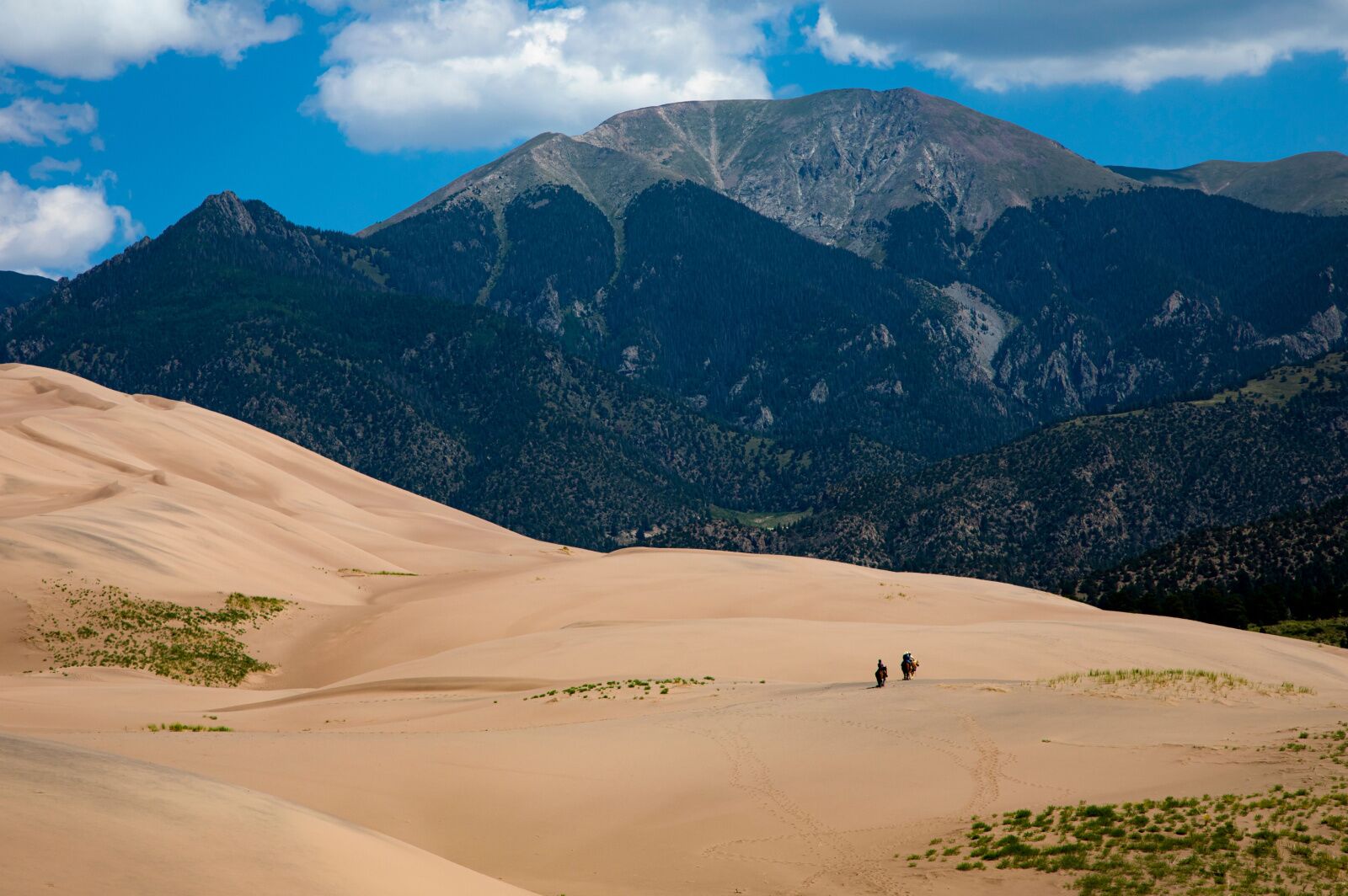 riding on an equine therapy retreat through great sand dunes national park 