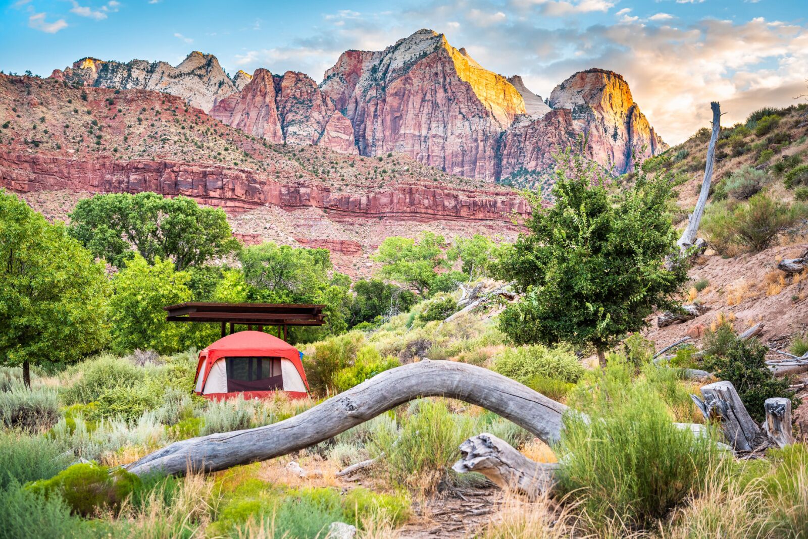 a tent at Zion's Watchman campground in utah 
