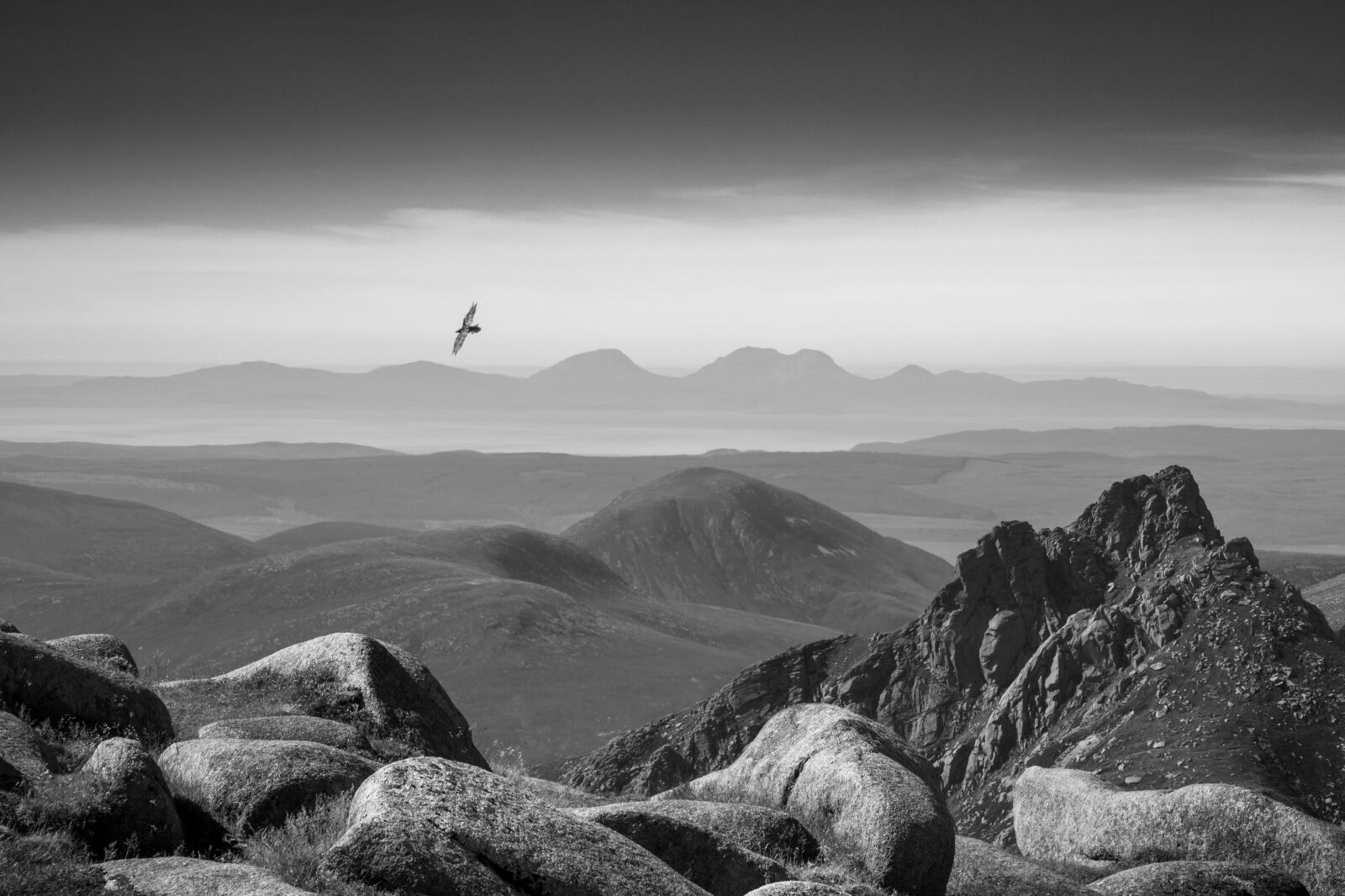 Black and white image of raven flying over scotland one of the submissions to British Wildlife Photography Awards 2024