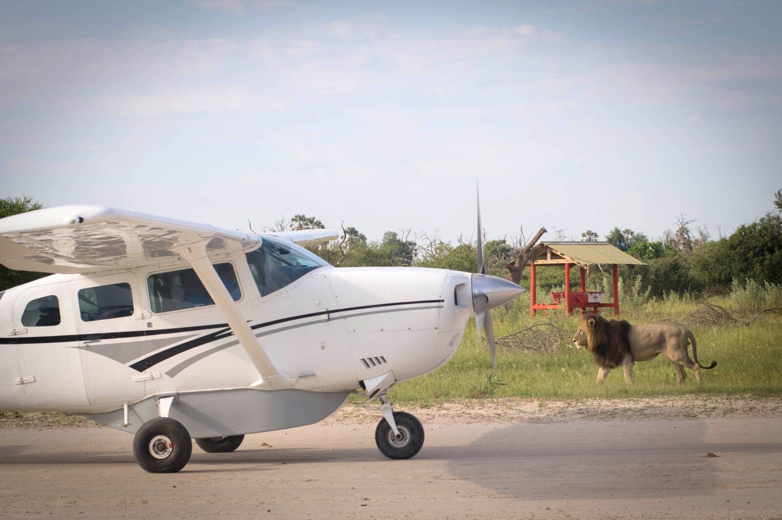  botswana safari plane