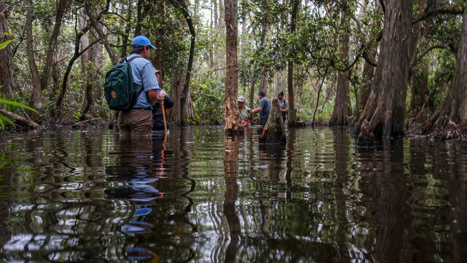 swamp walking group in florida