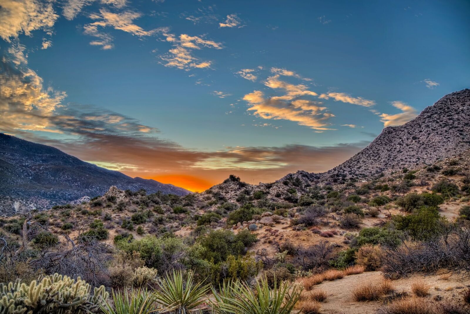 palm springs hiking trails - sunset