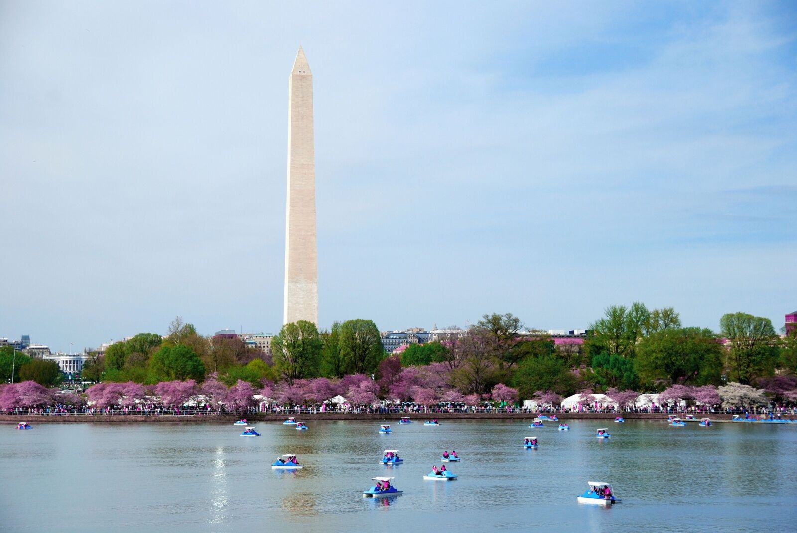 pedal boat rentals on the tidal basin dc 