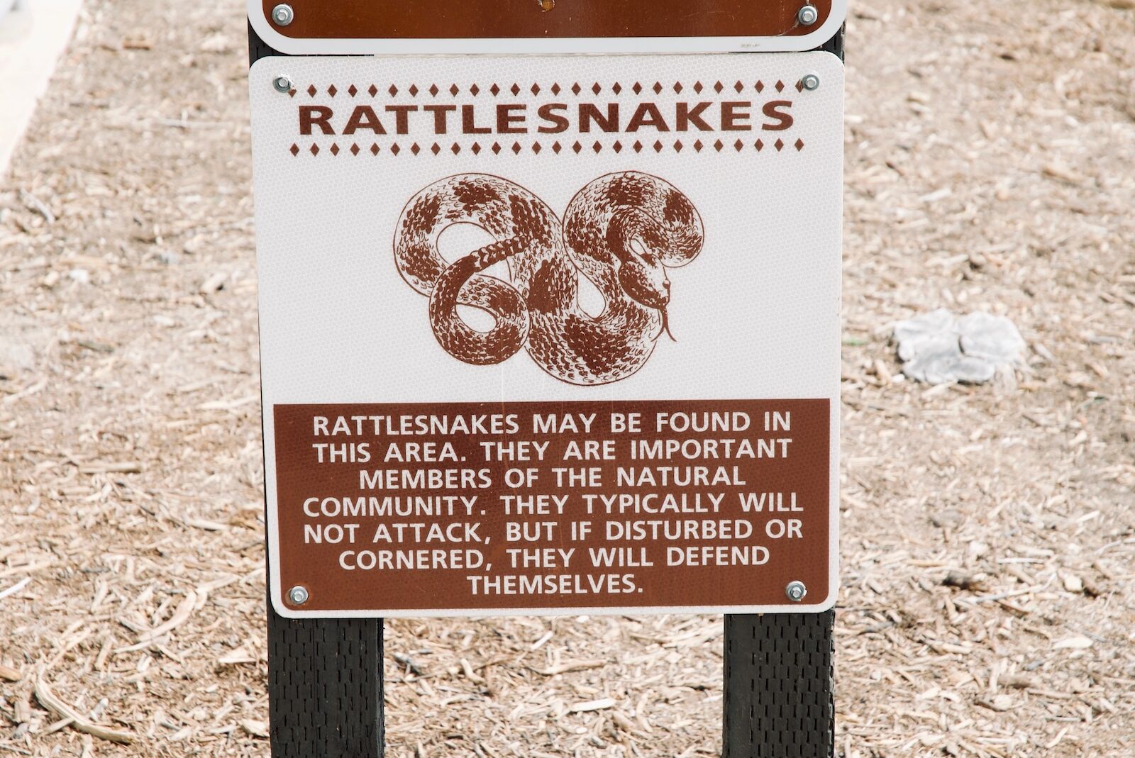 rattlesnake sign in southern california 