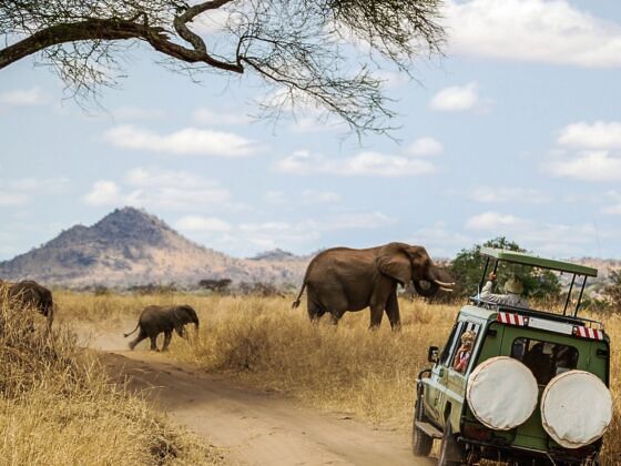 united safari travel