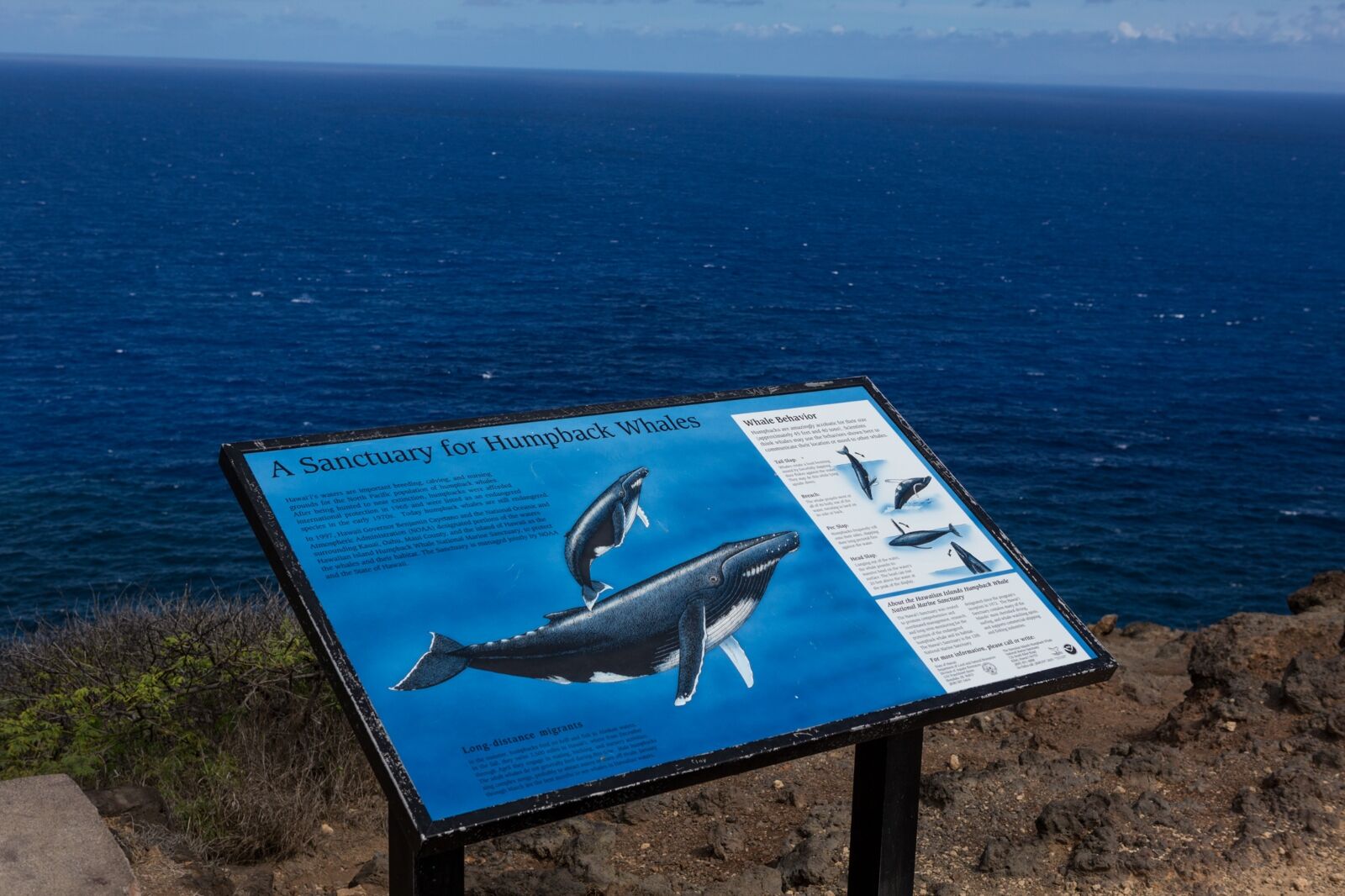 Makapuu Lighthouse Trail Sign On Humpback Sanctuary in Hawaii 