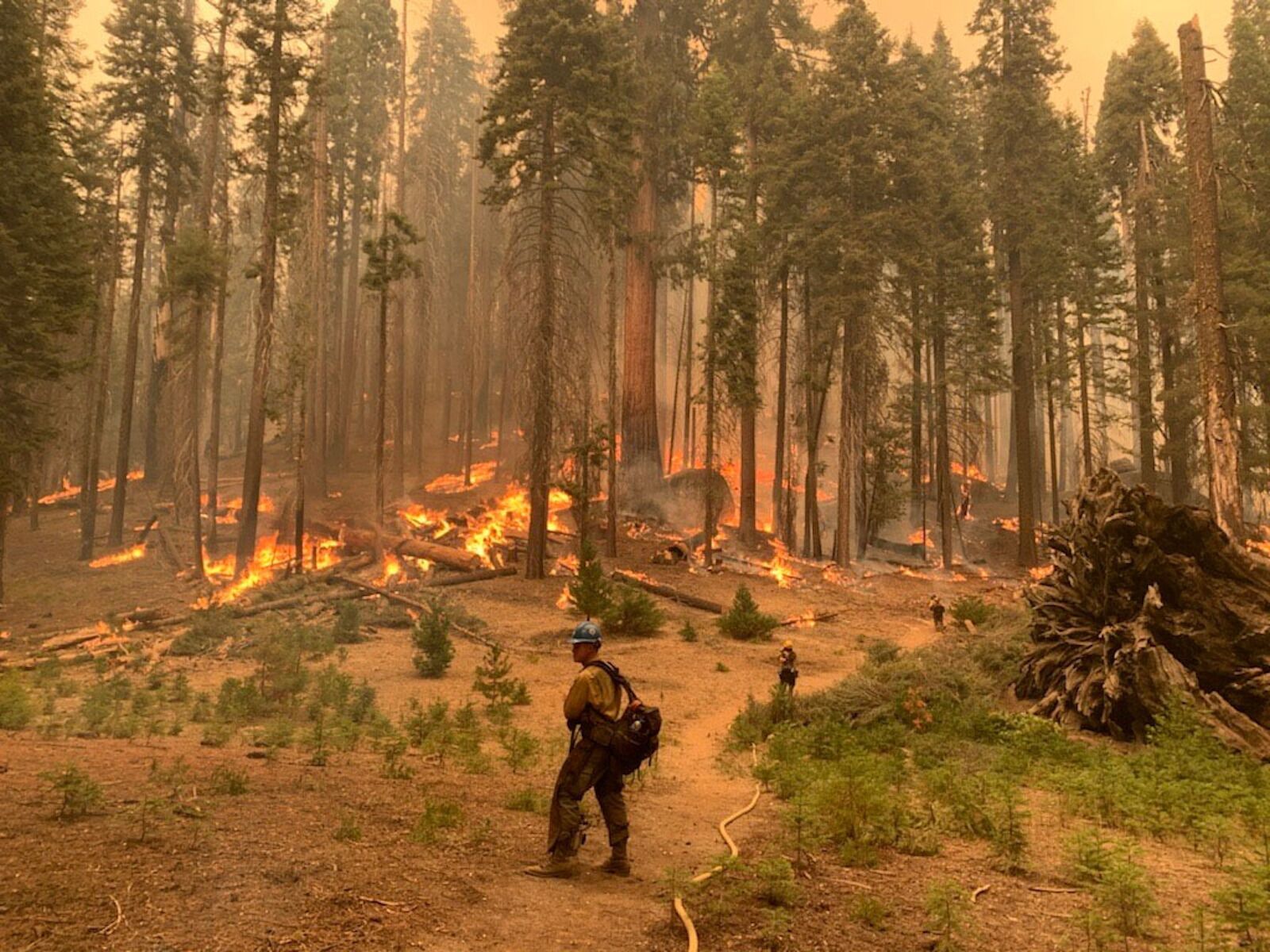 KNPC fire in Sequoia - polluted parks california