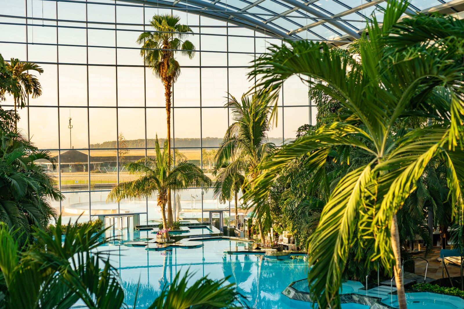 Palm trees and windows at indoor pool at Therme Bucuresti