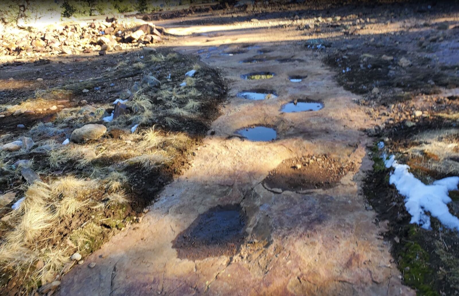 dinosaur footprints in colorado