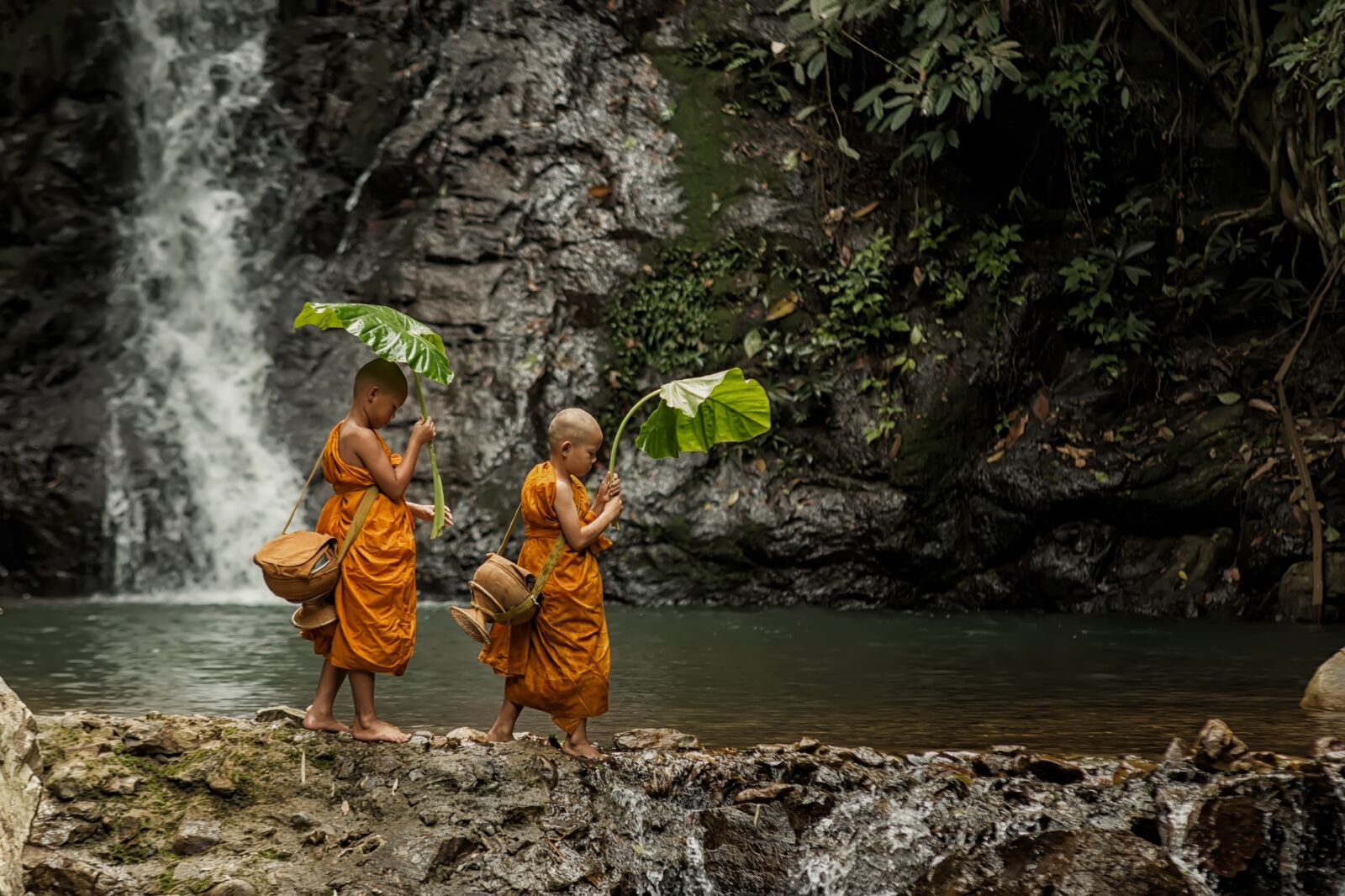 Dramatic moment of a little boy monk.Walking in nature in Asia,Novice monk at Luang Prabang,Laos.