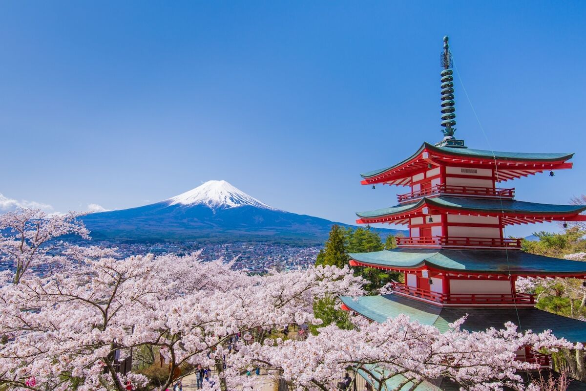 Mount Fuji View Blocked Due to Badly Behaved Tourists