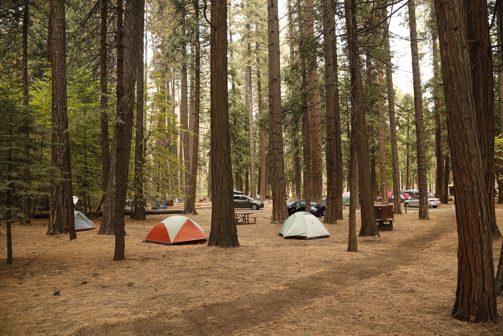 yosemite valley campgrounds - california 