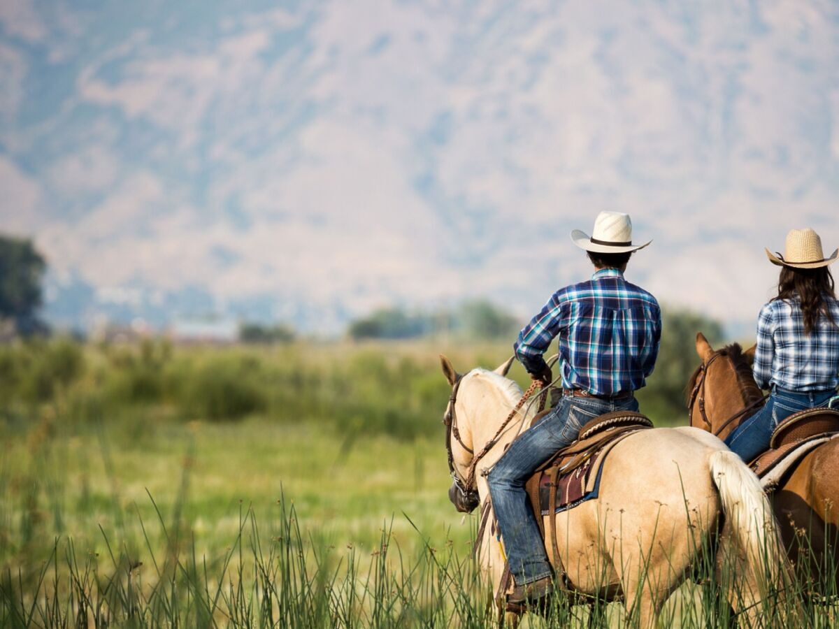 Got $125? How to Explore Cheyenne #39 s Cowboy Culture in One Week