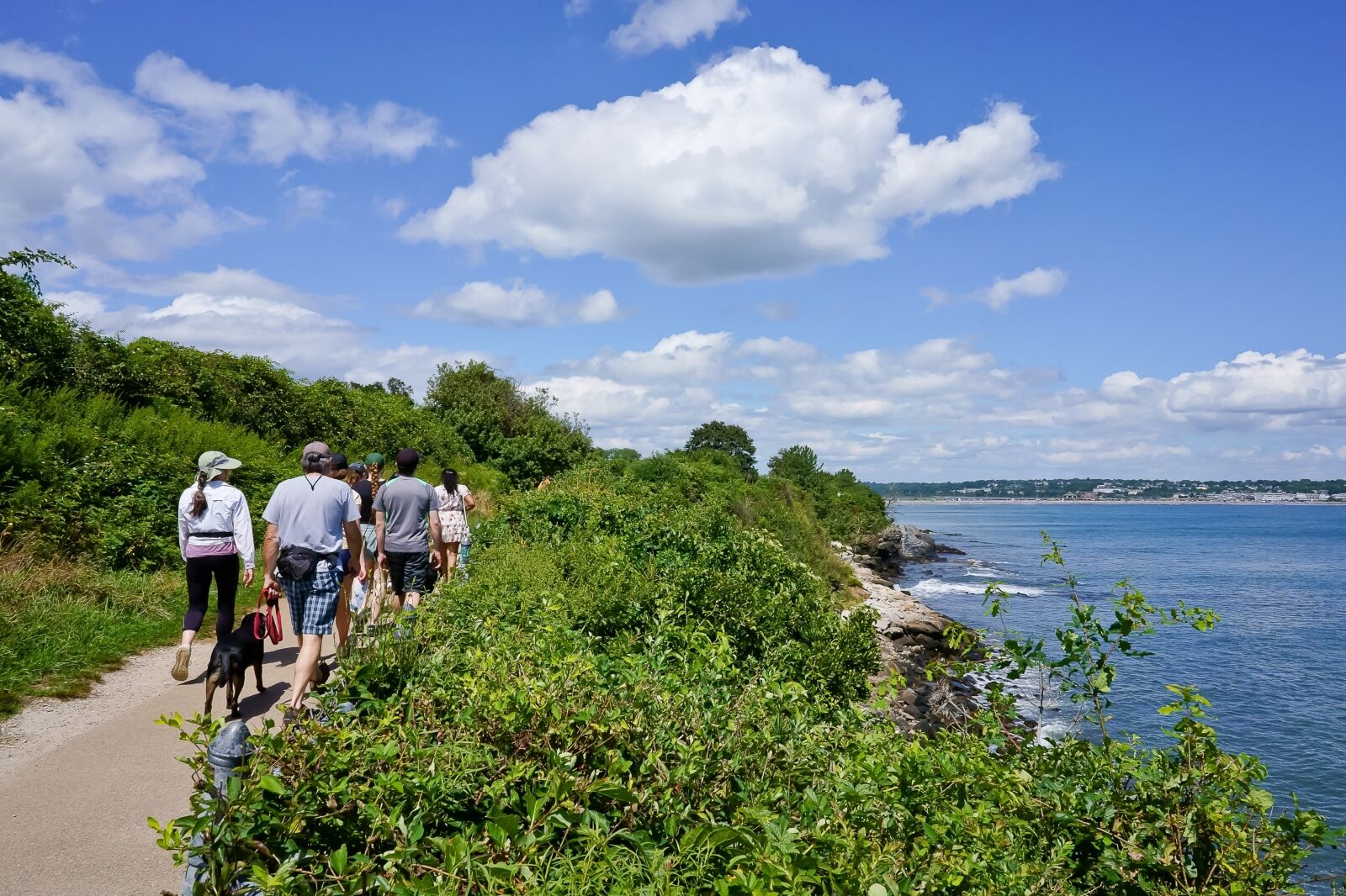 Cliff walk trail Newport Rhode Island the most dog friendly states