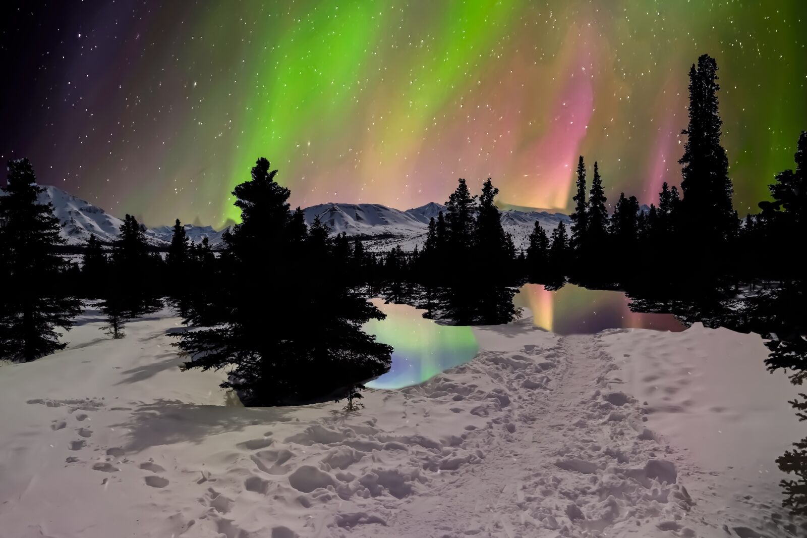 Northern Lights in Denali Alaska