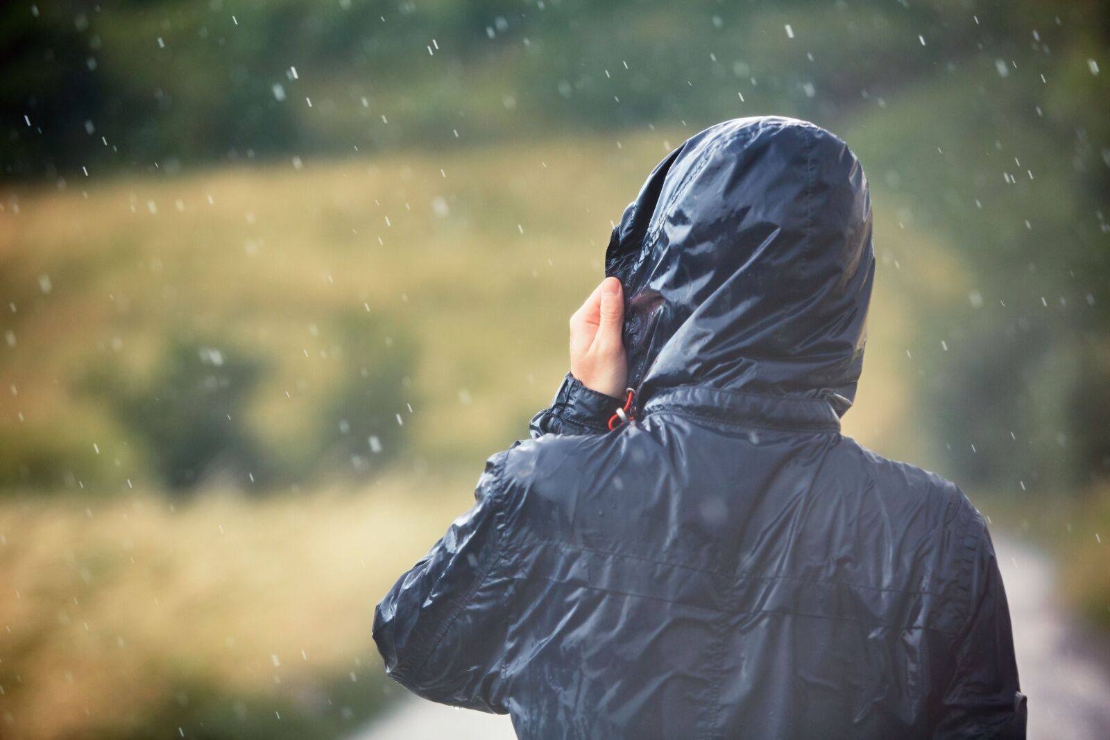 rain camping - hiking jacket from behind