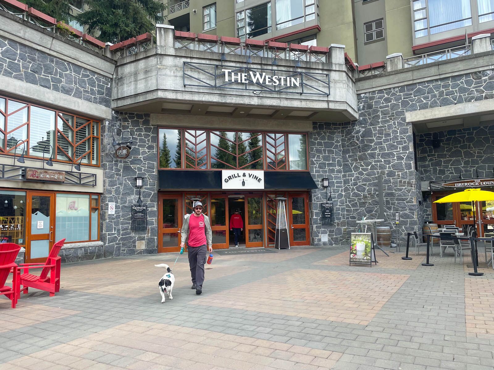 westin whistler review - dog in village