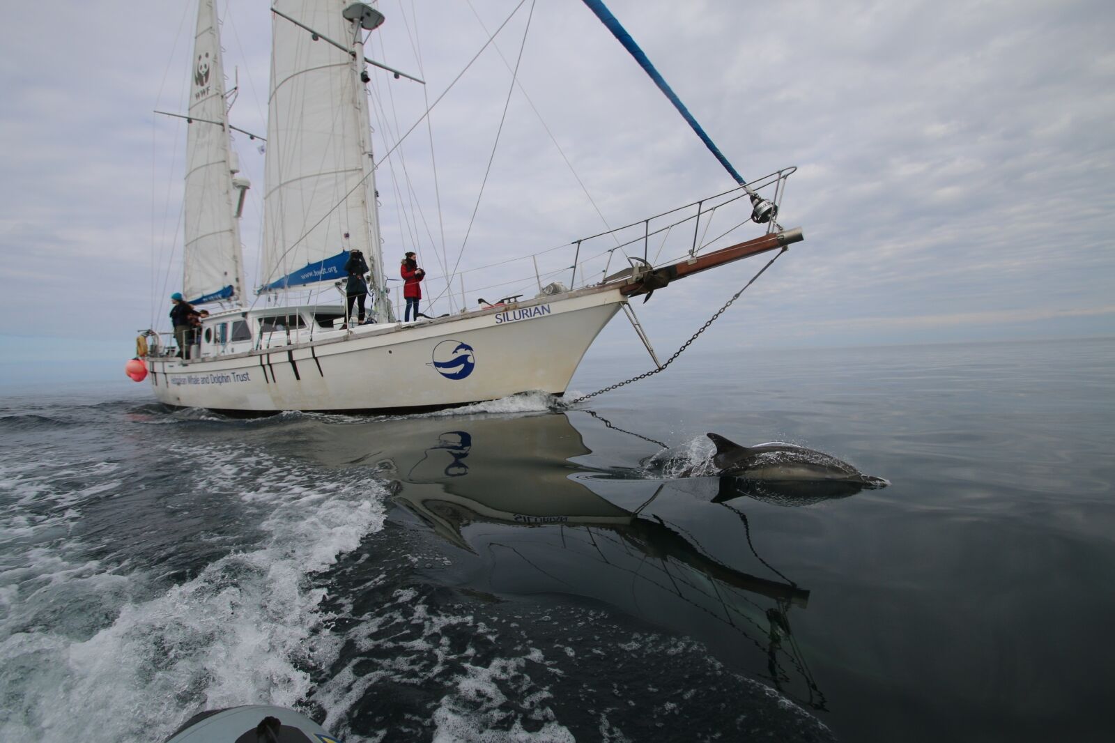 people on boat enjoying scottish wildlife by sea