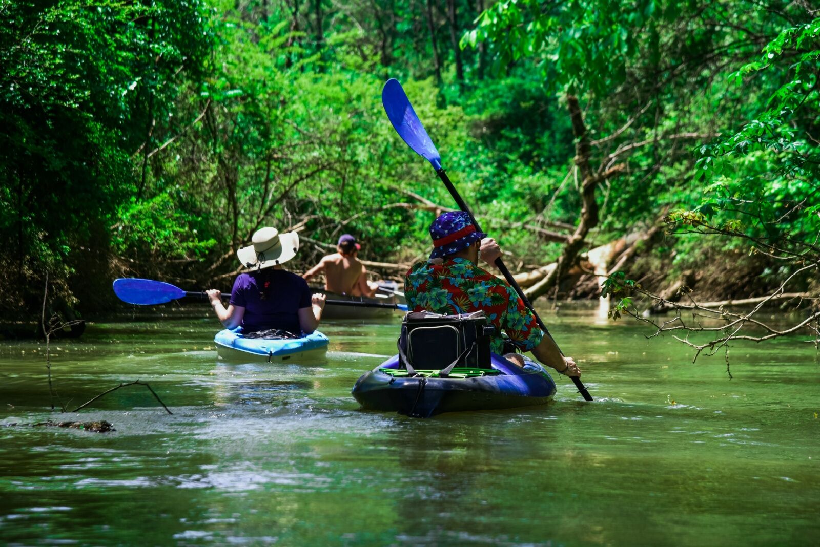 tennessee rivers - french broad