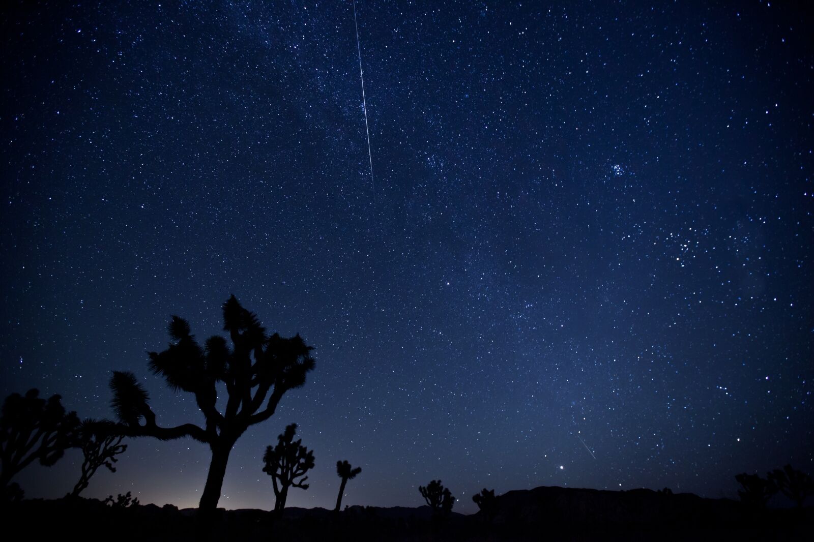 Perseid Meteor Shower at joshua tree