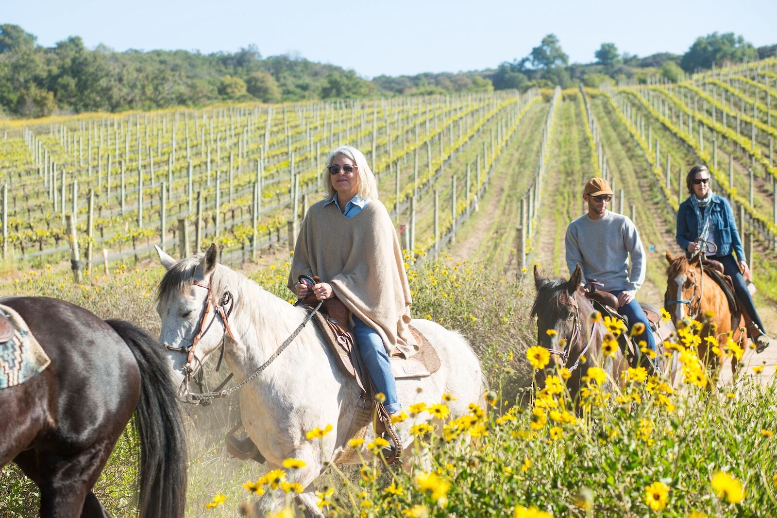 horseback riding in santa maria valley