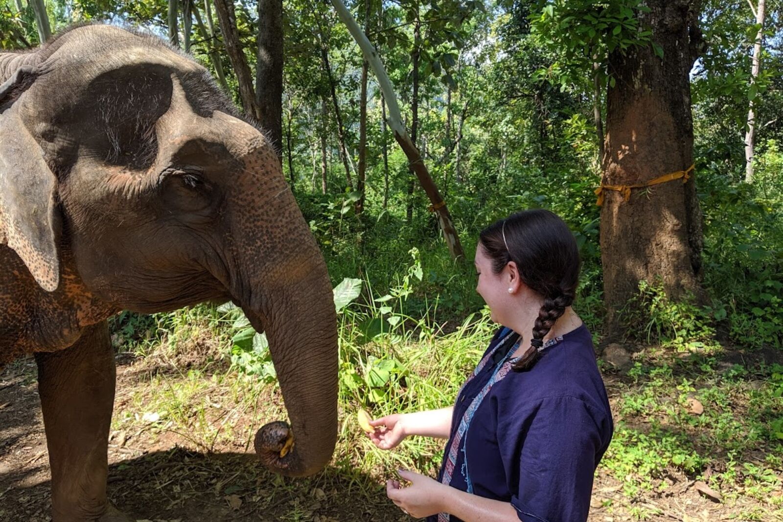 Sara Iannacone with an elephant 