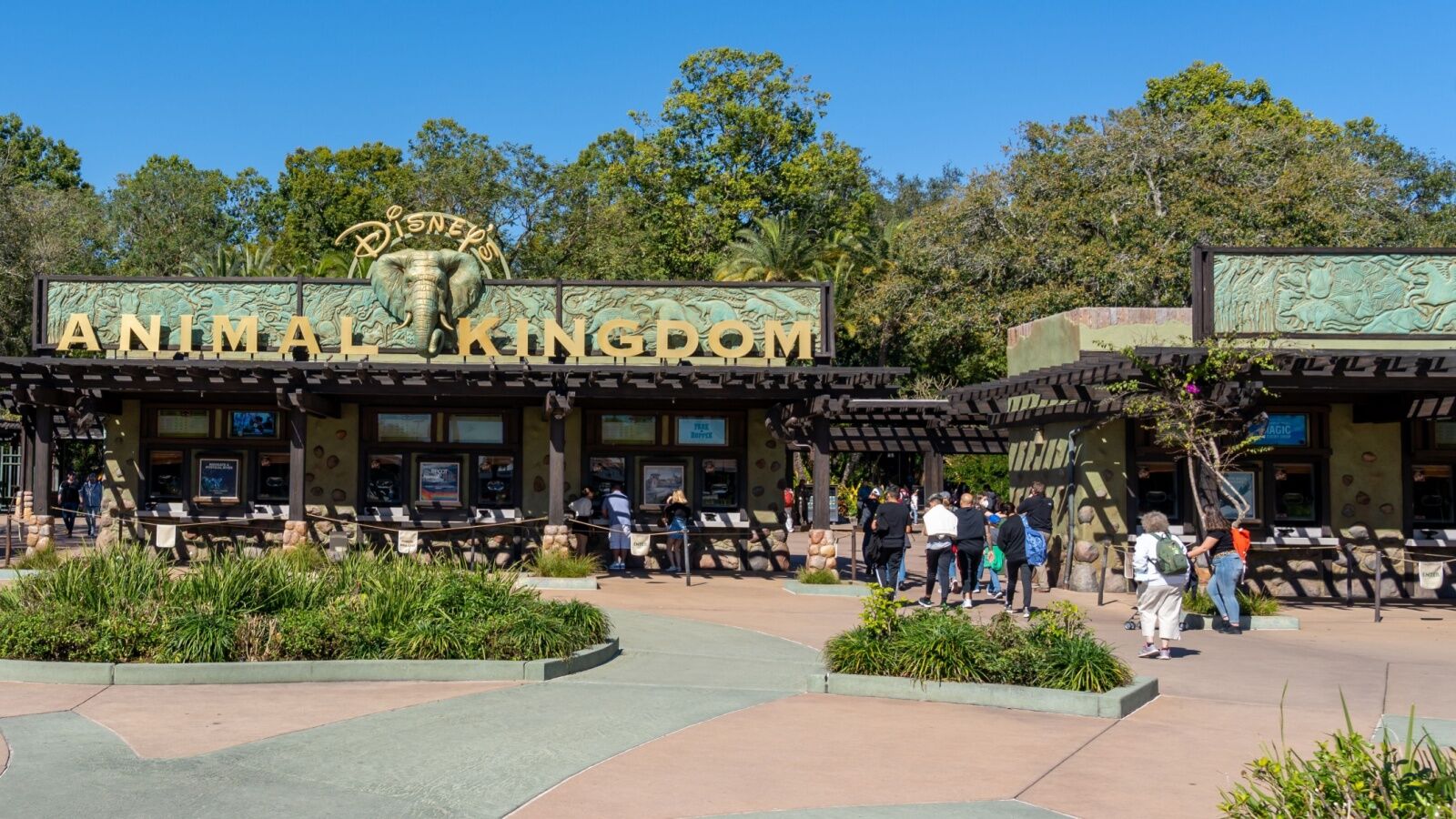 National Cheap Flights Day - Animal Kingdom Orlando Sign