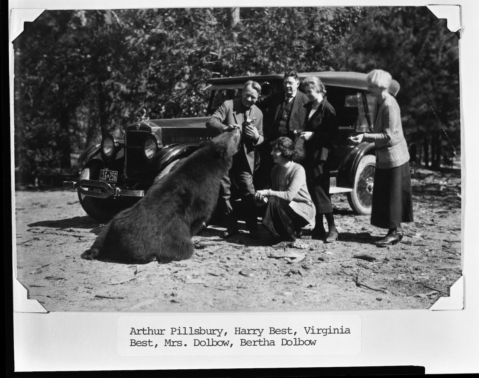 $100 million park grant - bad bear behavior