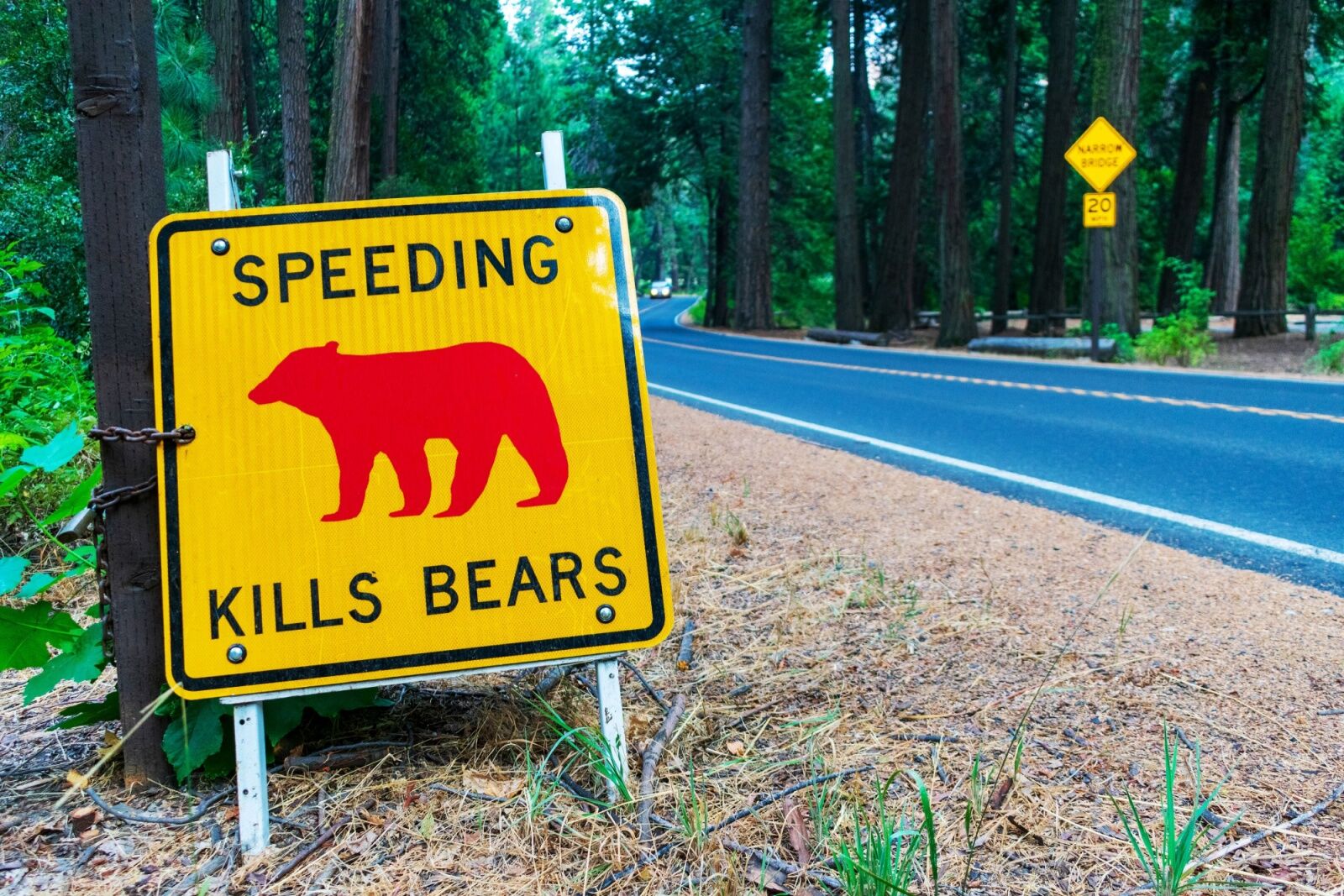 yosemite entry reservation - bear sign by road