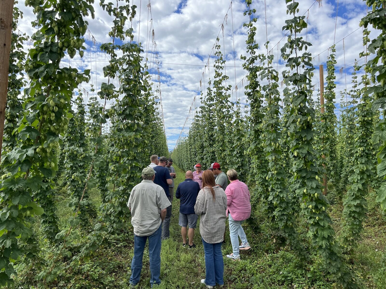 people in hops farm