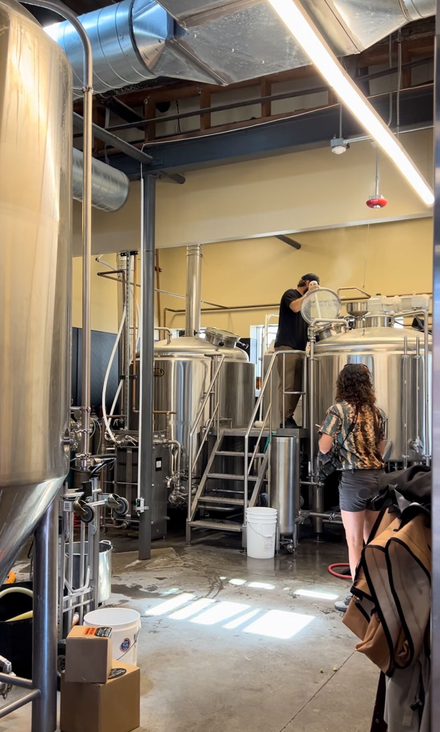 brewer adding hops to tank