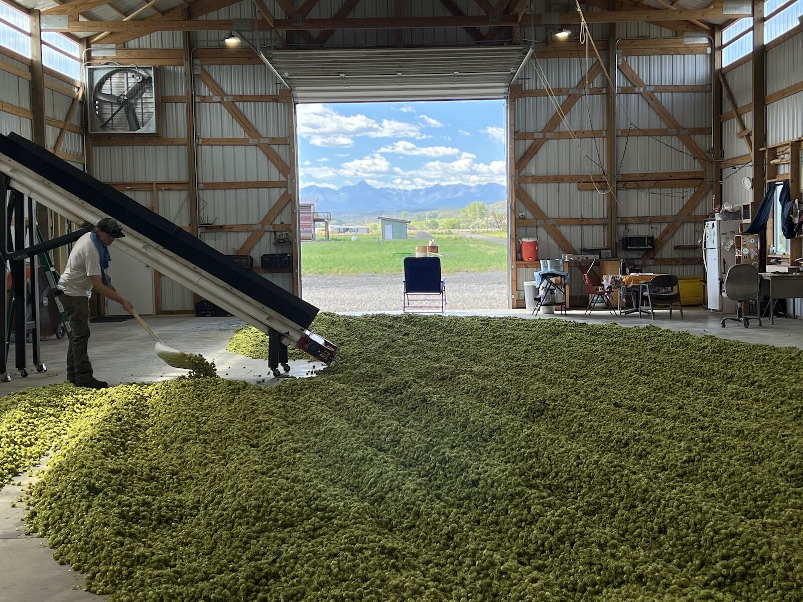 hops in warehouse