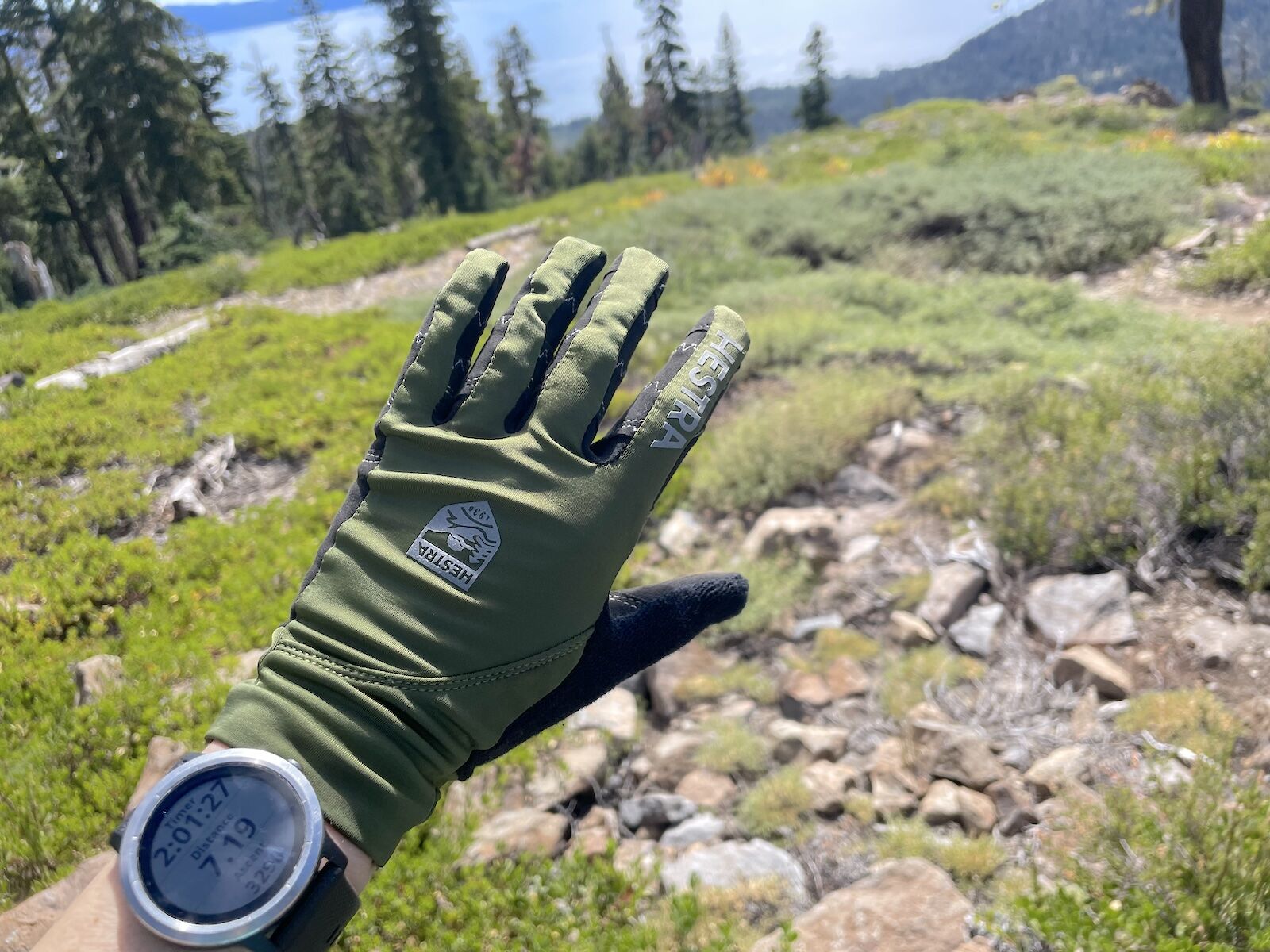 hestra mountain bike glove