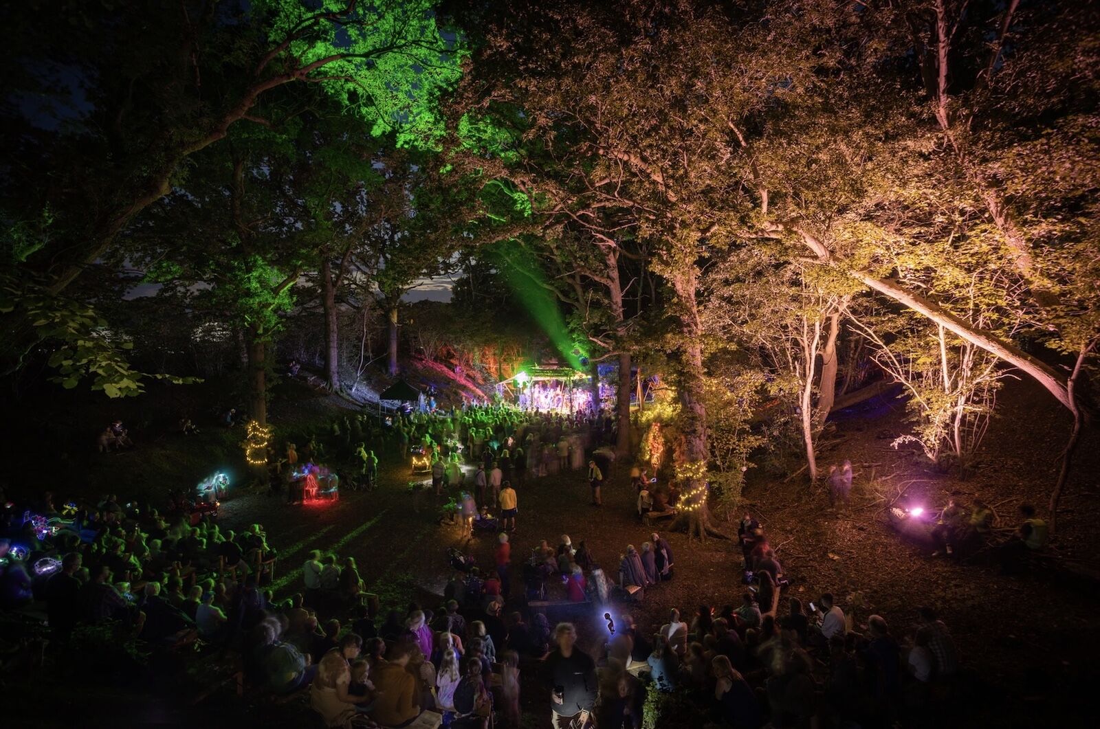 night shot from Into the wild, a sober music festival and gathering