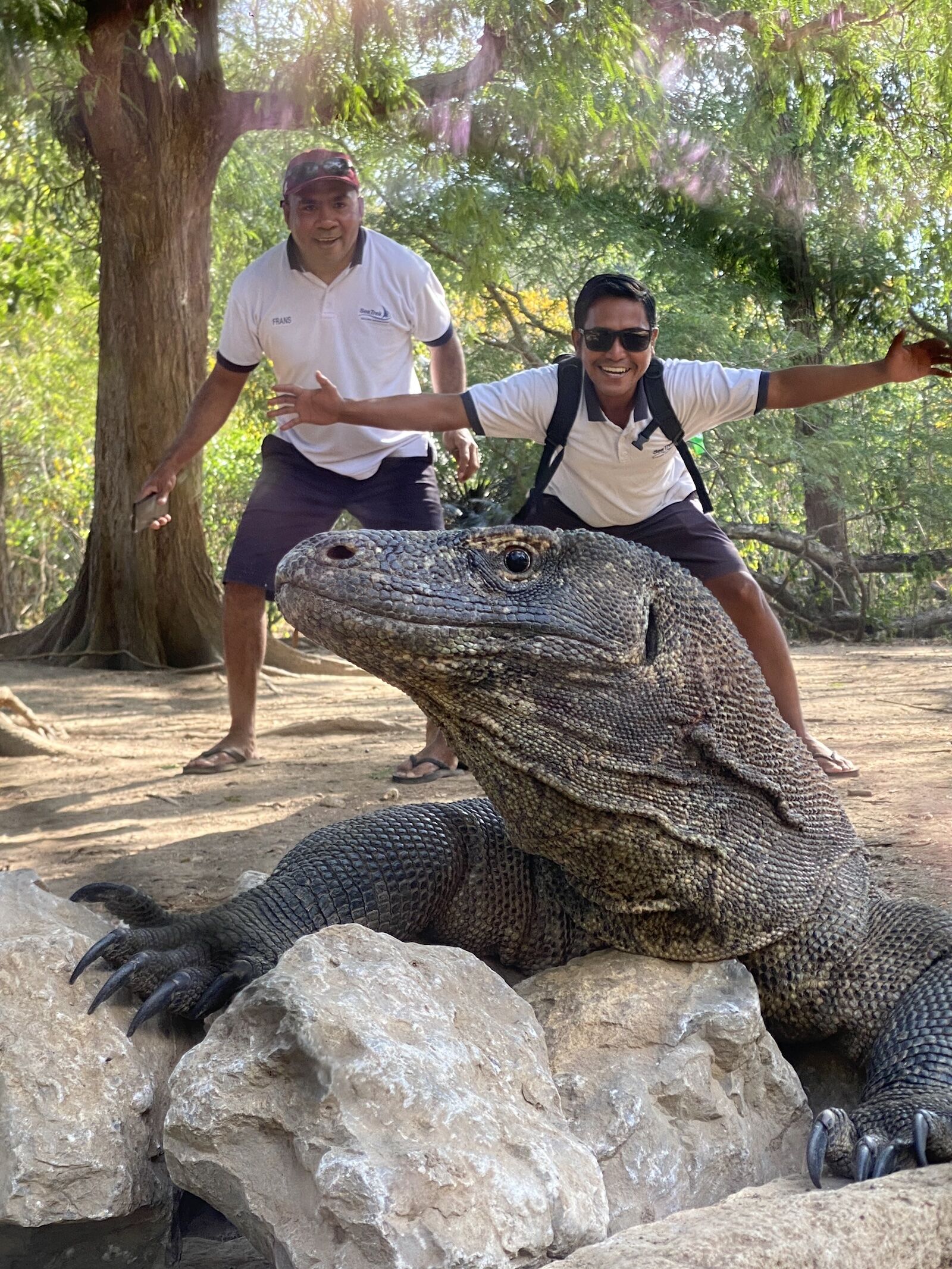 komodo dragons and crew on indonesia sailing trip with seatrek