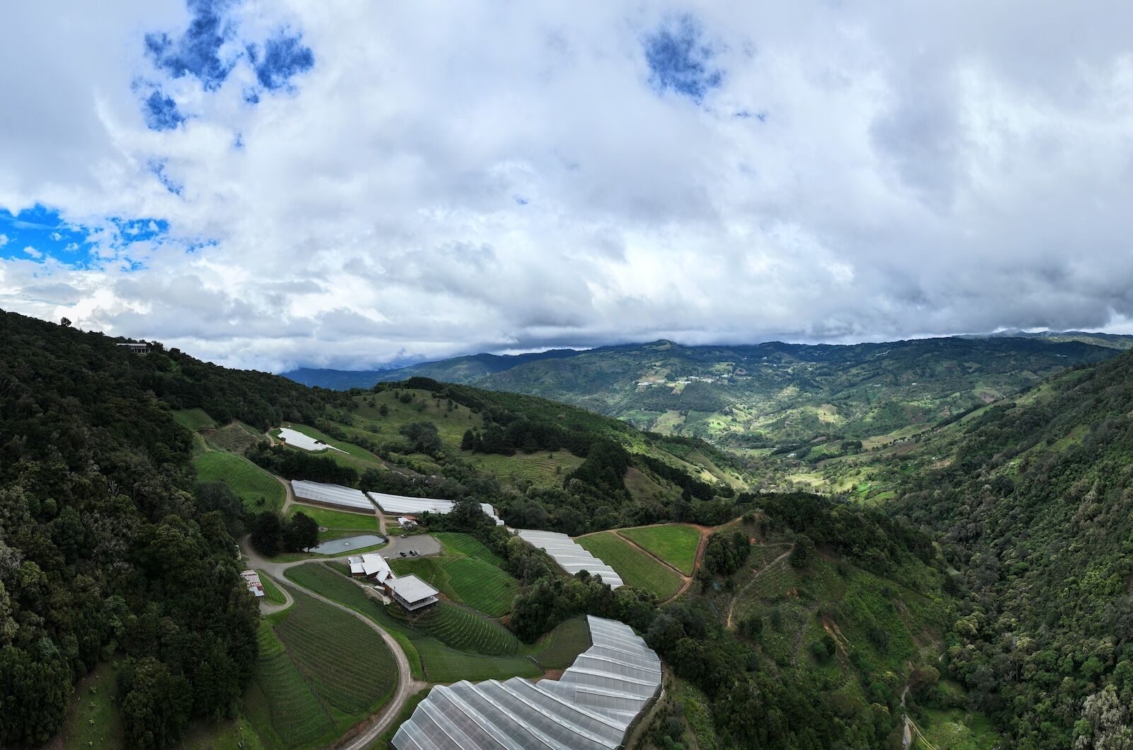 central-valley-costa-rica-coffee