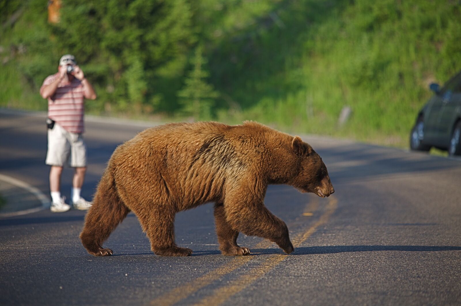 instagram wildlife filter - selfie control