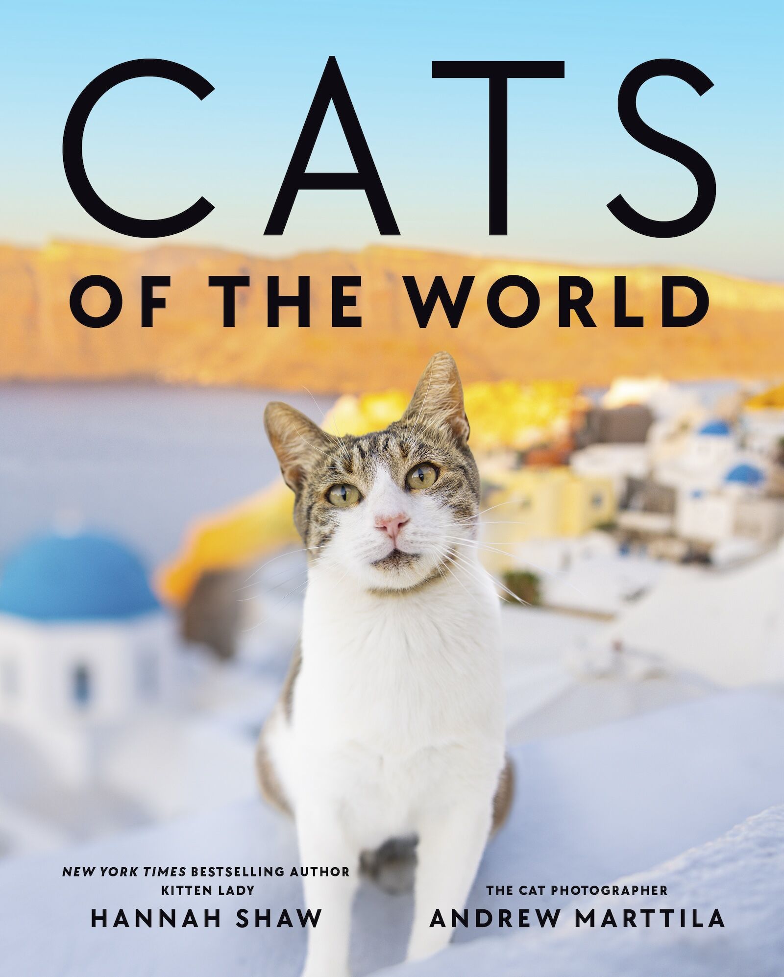 Cats of the World book jacket