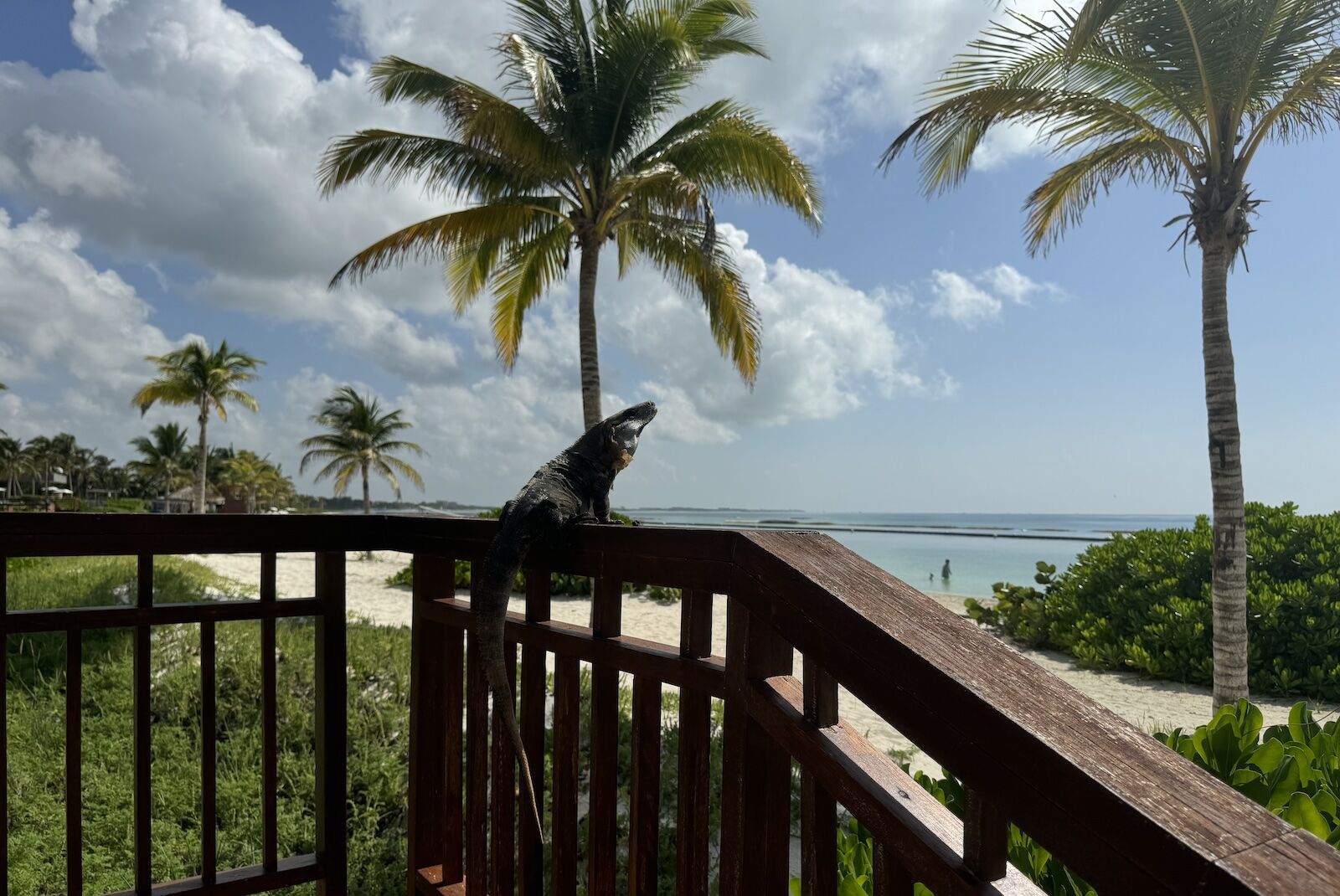 andaz-mayakoba