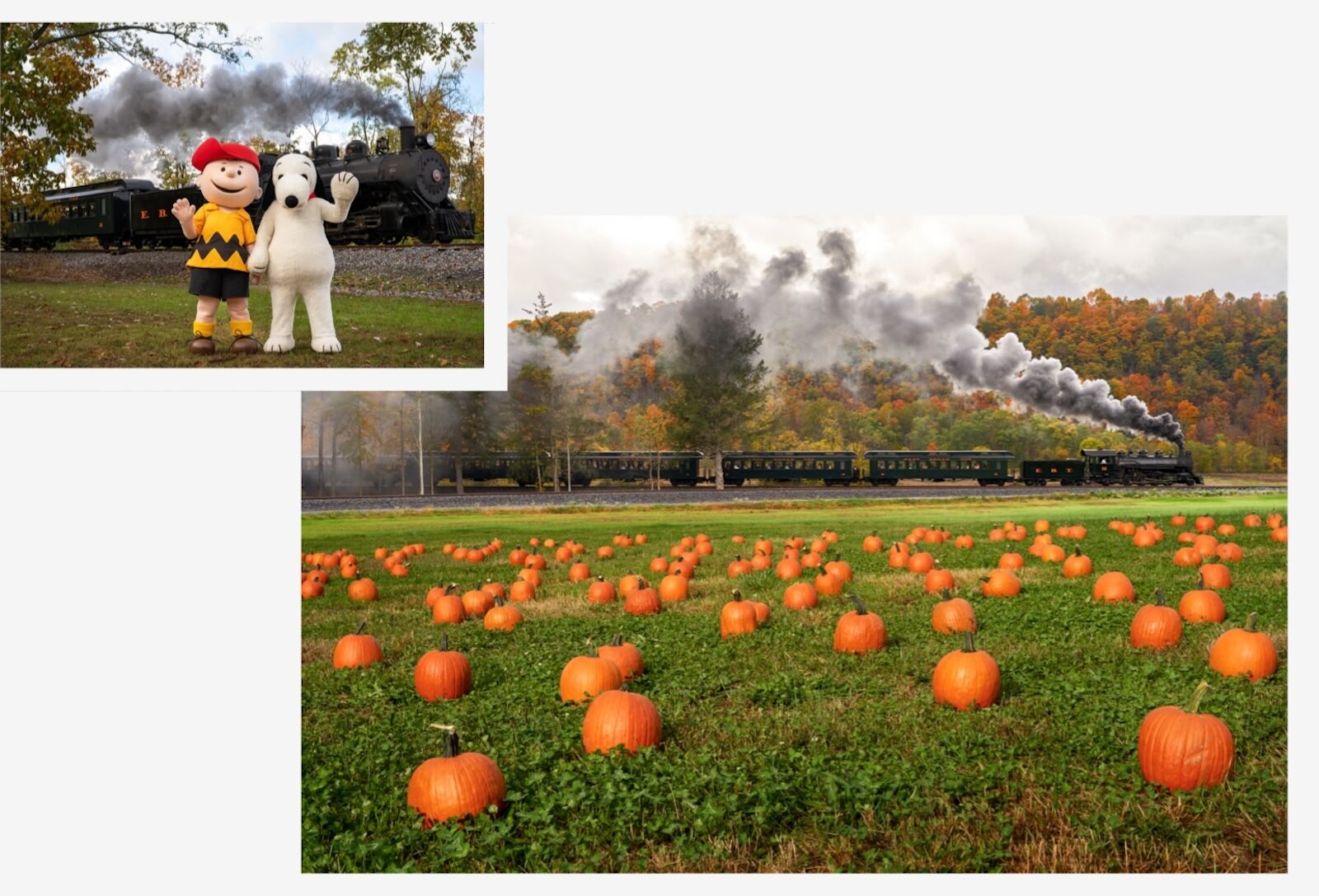 Peanuts: The Great Pumpkin Patch Express event at East Broad Top railroad.