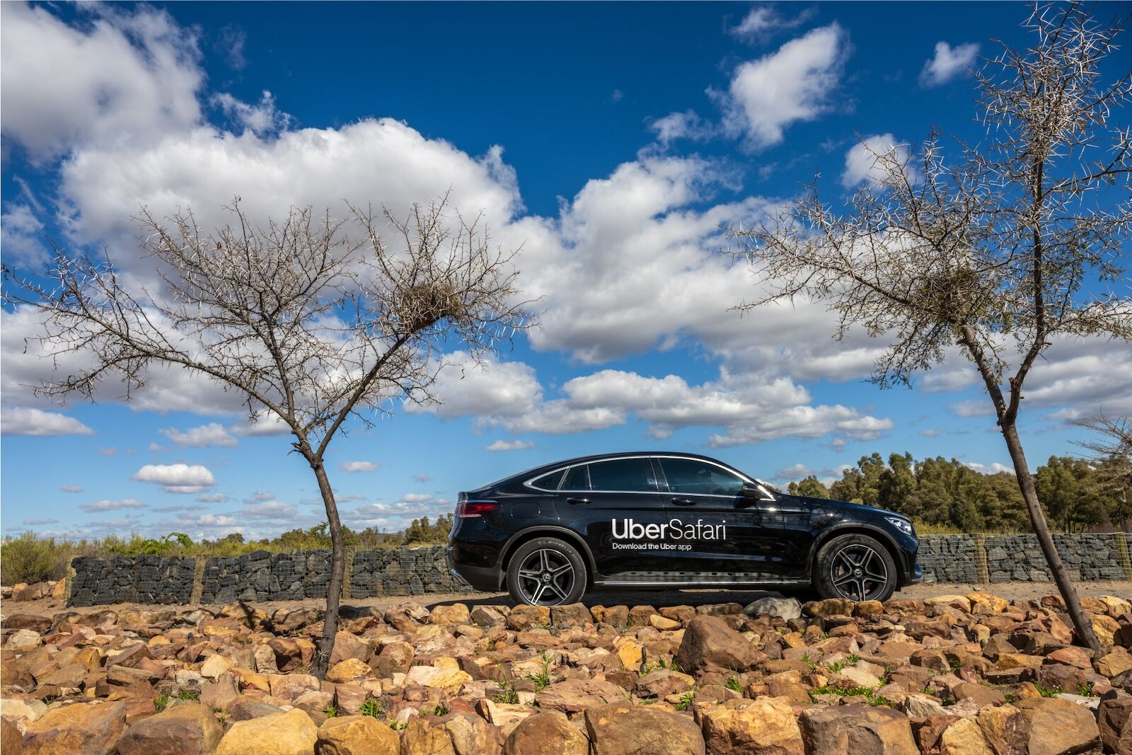 uber car on the way to safari