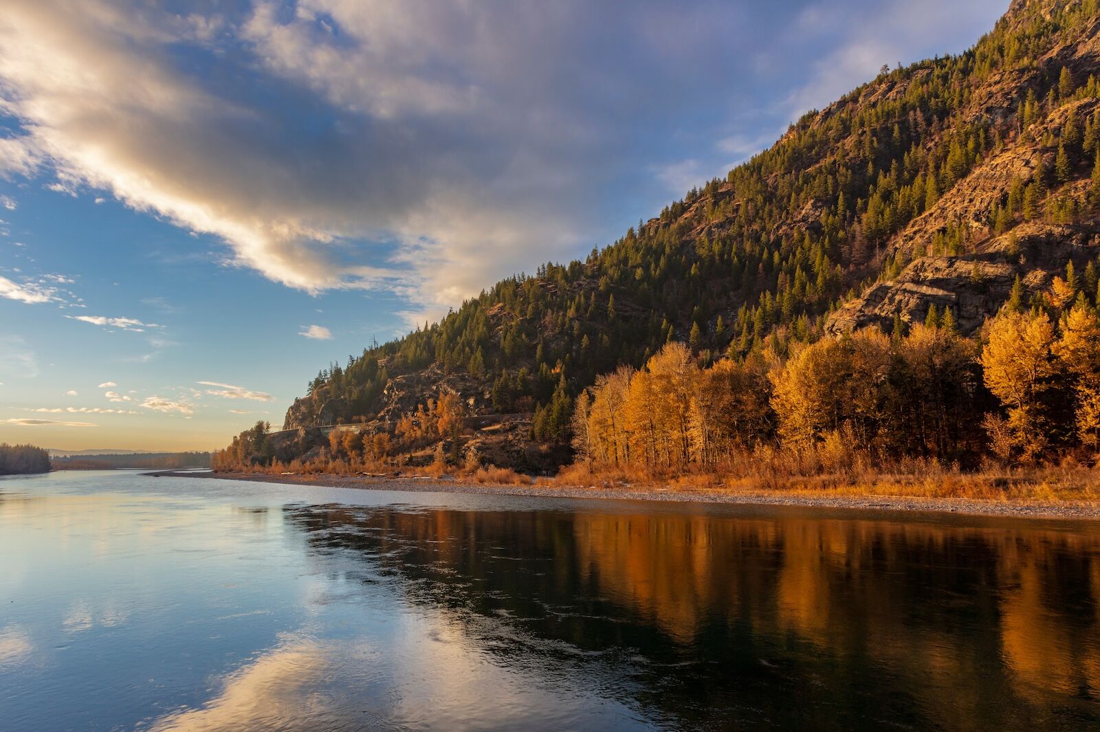 river near columbia falls, montana