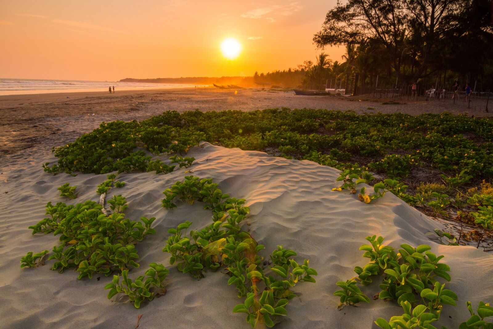 el cuco, el salvador, beach at sunset