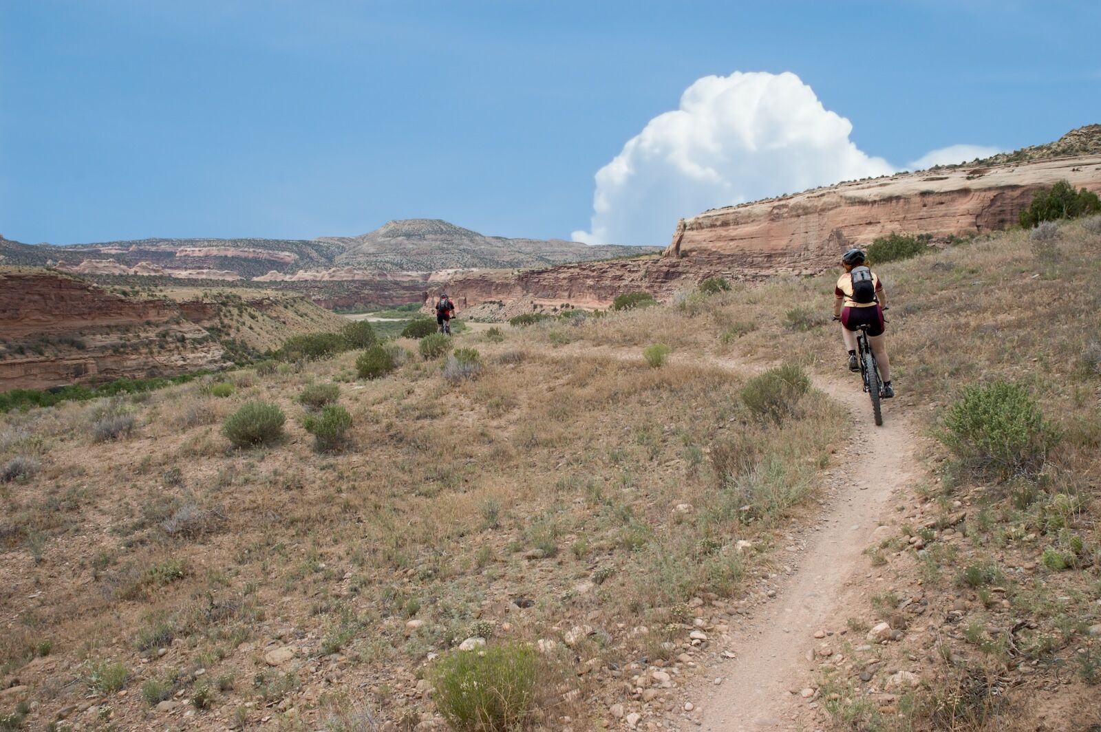 mountain biking in fruita, colorado