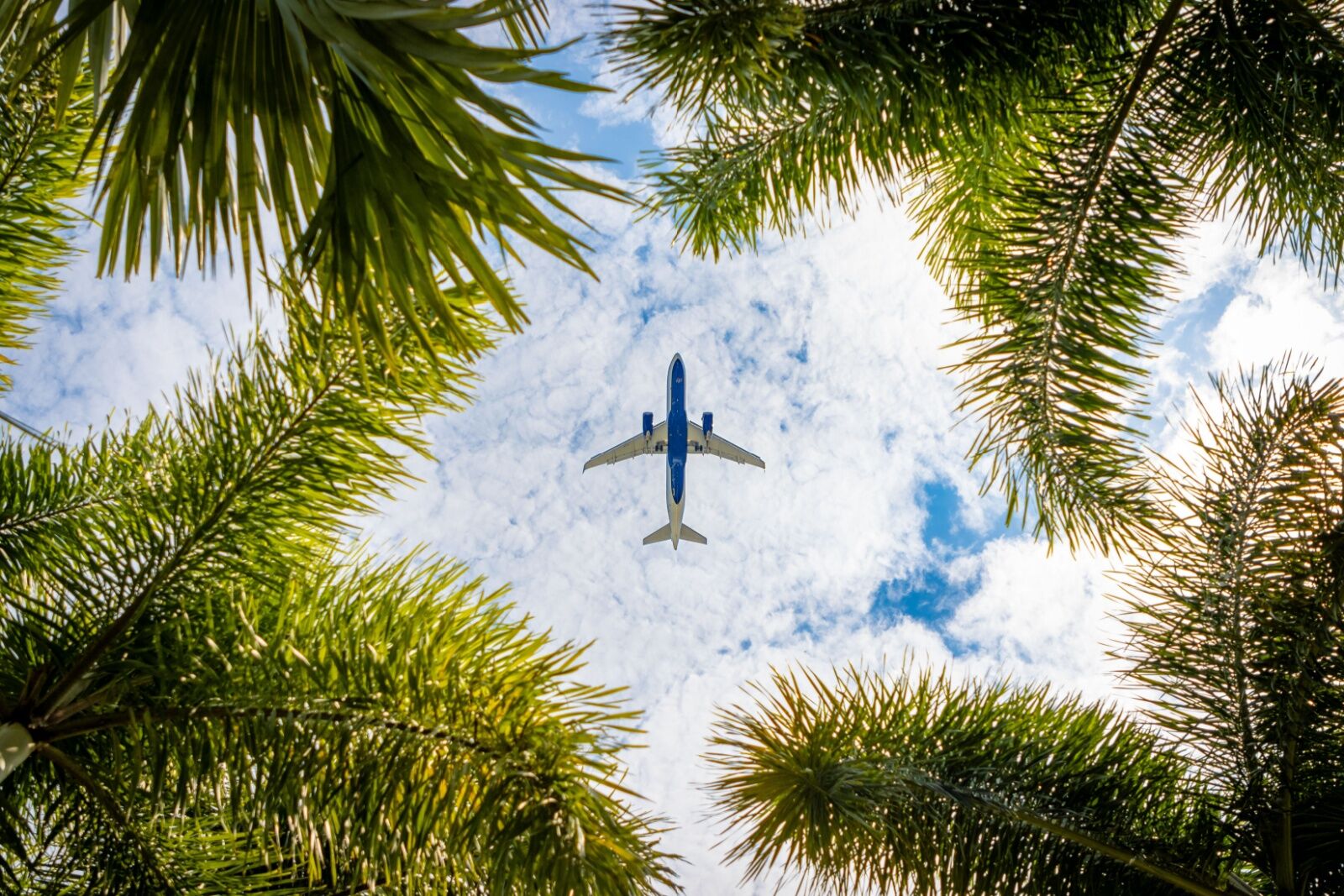 airplane in hawaii