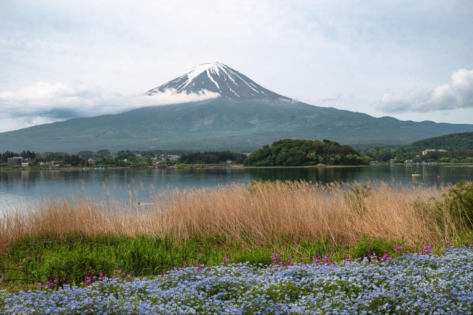 mt-fuji-photos