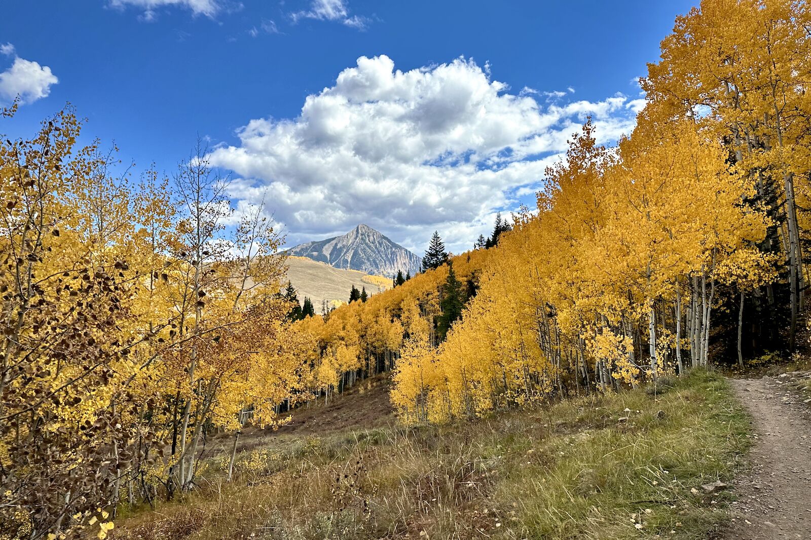 lower loop trail crested butte fall